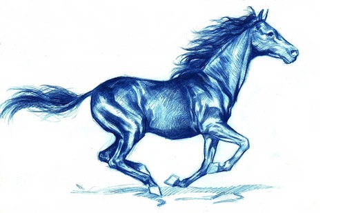 blue horse 1
